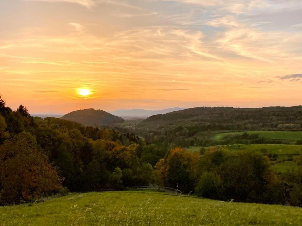 Ferienwohnung Soelden Bei Freiburg Im Breisgau Zewnętrze zdjęcie